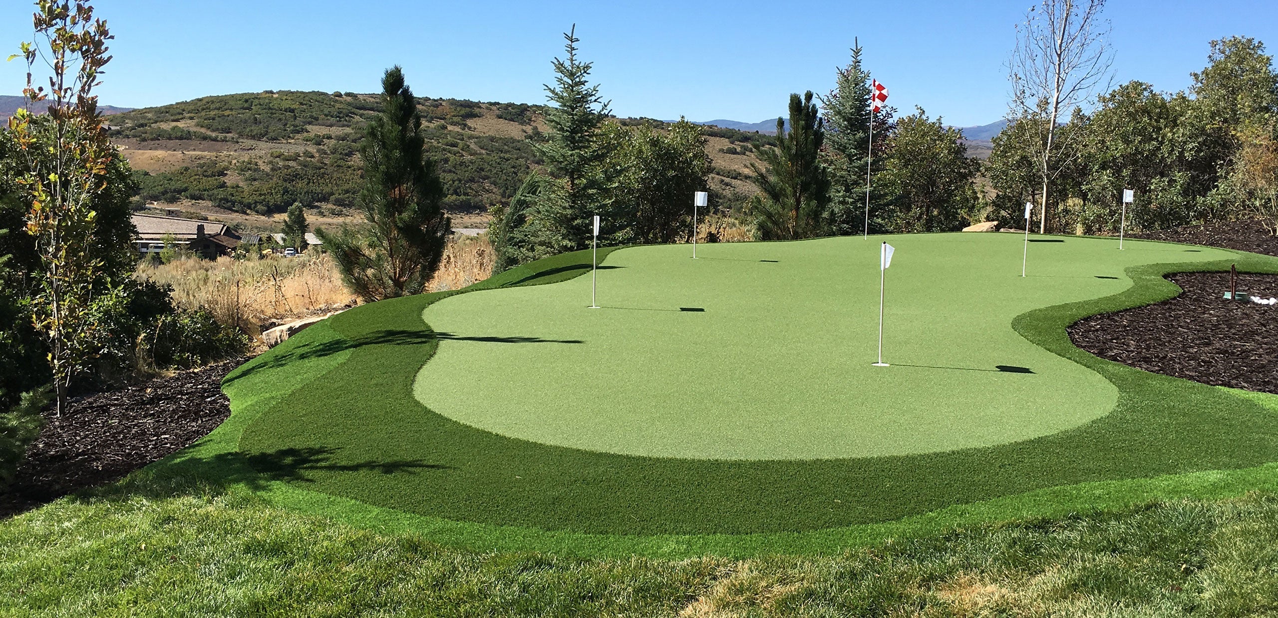 Putting Green – DetraPel, Inc.